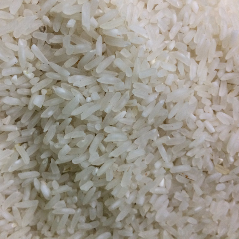 riz blanc 2