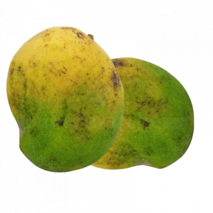 Mangue séchée de Madagascar en tranches - achat, utilisation et