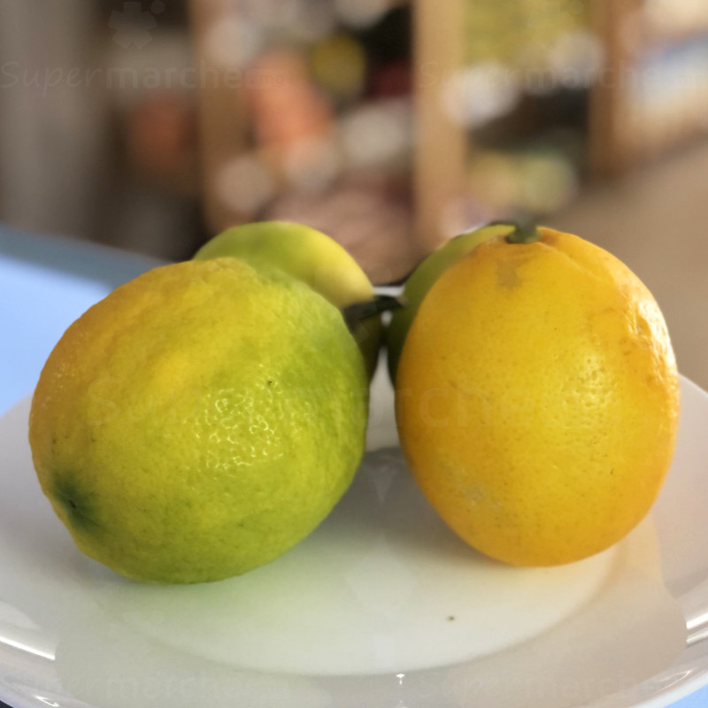 citron meyer jaune assiece