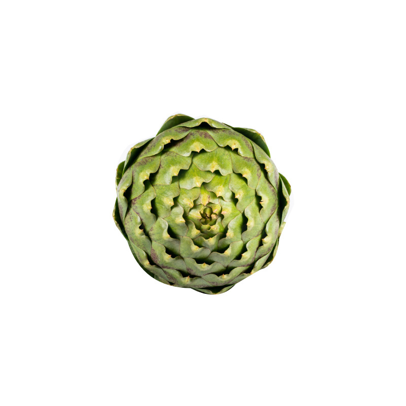 artichaut – légume