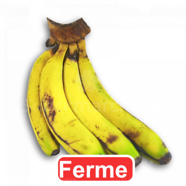 Banane-12 ferme