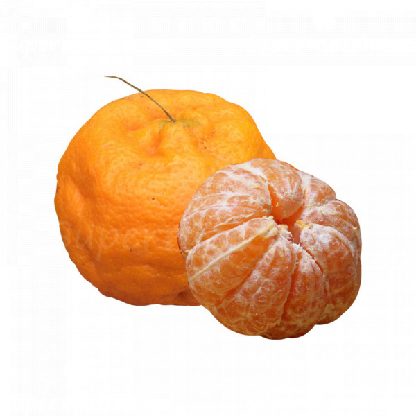 mandarine greffe