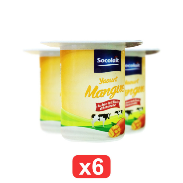 Yaourt mangue Socolait pack de 6