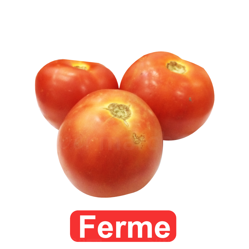 tomate ferme