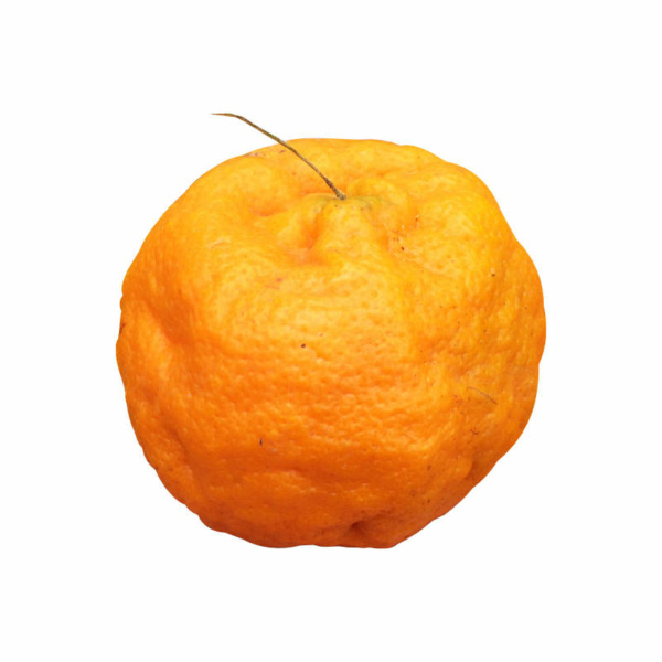mandarine 1er qualité