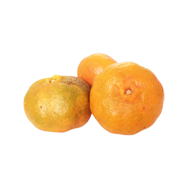 clementine 1er qualité