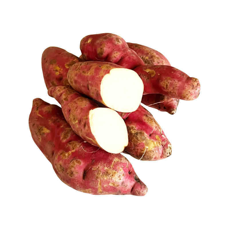 patate douce blanche – vomanga fotsy