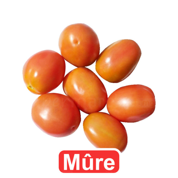 Tomates allongées mûres 1kg Gros Calibre A consommer le jours