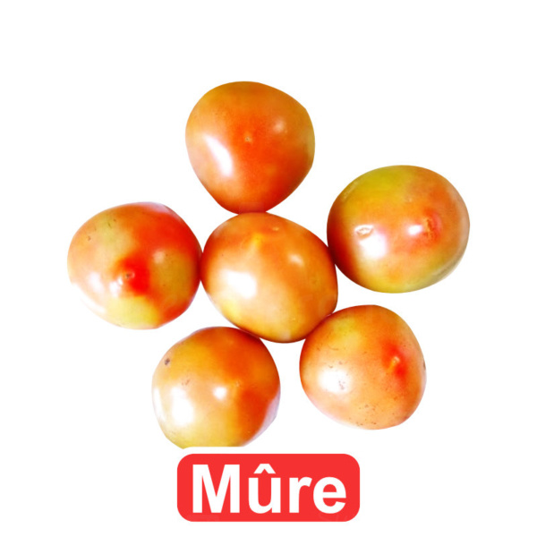 Tomates rondes mûres 1kg  Gros Calibre  A consommer le jour mê