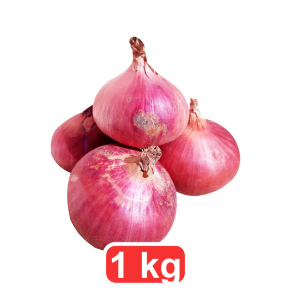 Oignons frais 1kg – Gros Calibre